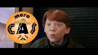 Harry Potter and the Maracas