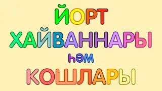 ДОМАШНИЕ ЖИВОТНЫЕ и ПТИЦЫ на татарском языке/ ЙОРТ ХАЙВАННАРЫ һәм КОШЛАРЫ/ DOMESTIC ANIMALS & BIRDS