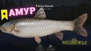 Русская рыбалка 4 о. Медвежье АМУР КАРП Russian fishing 4 (РР4) Lake Bear CARP Amur FARM