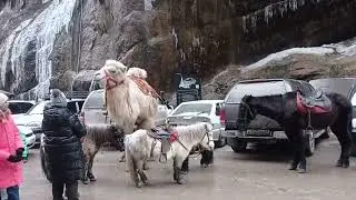 🚐Отдыхаем . Горы, ущелье