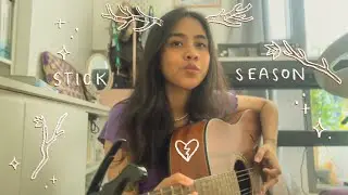 stick season - noah kahan (heder cover)