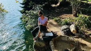 Yoga and Painting Retreat in Switzerland 🇨🇭