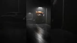 Это Флиппер, и у него явно ужасное настроение😡