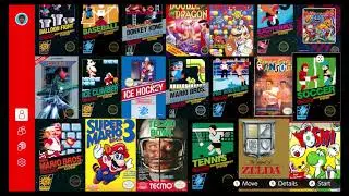 NINTENDO SWITCH ONLINE: NINTENDO ENTERTAINMENT SYSTEM