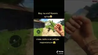на Мармока напала птица 🐦