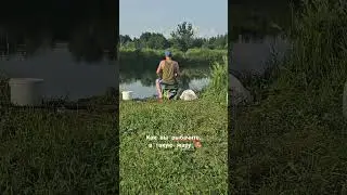 Как вы рыбачите, в такую жару 🥵 🥵 🥵  #рыбалка #жара #юмор #смешно #тренды