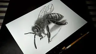 Drawing 3D Bee | Realistic Drawing #3dart #3ddrawing