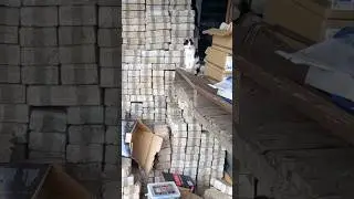 Наши Маленькие ДРУЗЬЯ