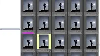 How to Cull using Photo Mechanic