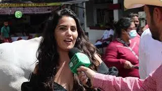 Ganado Piemontese, Gyr, Caballos Shetland y Ovino bicampeón nacional Pelifolk en Expo Jalisco 2021