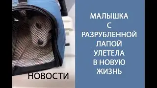 ВСЁ ПРОИЗОШЛО БЕЗУМНО БЫСТРО!
