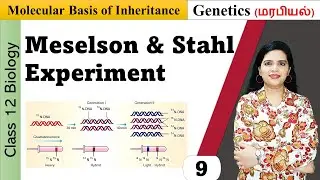 Experimental proof of DNA replication | Meselson and Stahl Experiment