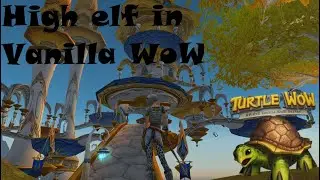 THE BEST CUSTOM CONTENT ON A VANILLA WOW SERVER (part 1) - Turtle WoW