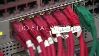 Niszczenie informacji i sabotaż komputerowy (prawo karne)