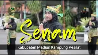 Senam Kabupaten Madiun Kampung Pesilat