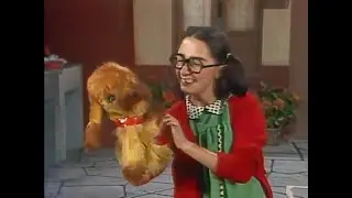 PELUCHÍN ( PELUDINHO )