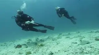Скат