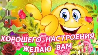 С добрым утром и хорошим днем. Отличного  НАСТРОЕНИЯ на весь день.