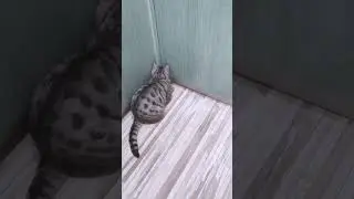 ЧтоГдеЕсть