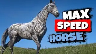 Get the Brindle Thoroughbred FREE   |   RDR2 NEW Stable Glitch