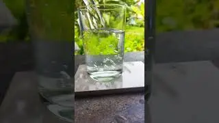 easy science experiment. invisible coin trick#shorts #trending #viral #m4tech