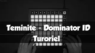 Tutoriel : Apprendre à Jouer mon Cover : Teminite - Dominate ID