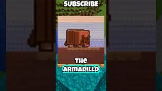 Minecraft live: The armadillo 