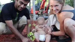 Treehouse Project: Hands-on Skills & Training for Sustainability
