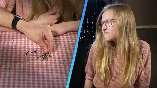 12-Year-Old vs. The Unbeatable Game of NIM