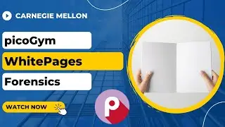picoGym (picoCTF) Exercise: WhitePages