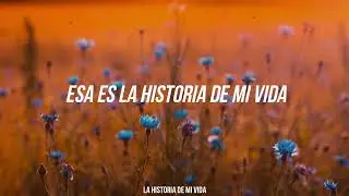 The Smiths - Half a Person (Traducida al español)