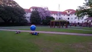 Crazy students' epic hit