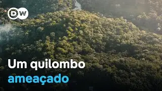 A luta de um quilombo contra a especulação imobiliária