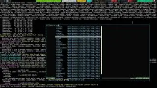 Vim Dictionary Spell 2022_01_31_05:16:09