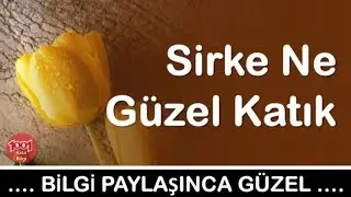 Sirke Ne Güzel Katık
