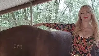 Dainty Rascal and Whiskey the Rescue Horse