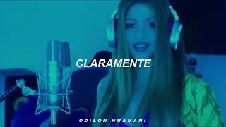 canción de shakira a Piqué y clara chia la BZRP sección #53 la mujeres no llora,la mujeres facturan