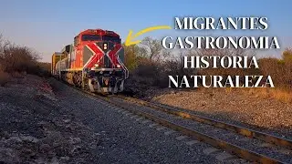 MILES DE MIGRANTES usan este tren para huir de sus paises