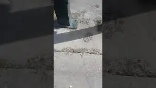 Chalk