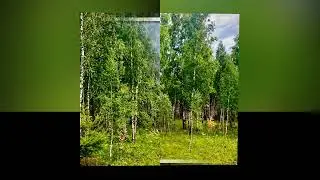 Как хочется счастливым быть всегда