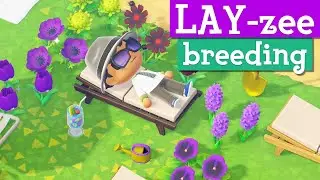 Lazy Gardening. Do NOTHING & BREED RARE flower hybrids