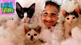 Kittens and Liza in hollofayber, kittens choose the winners on GREETINGS