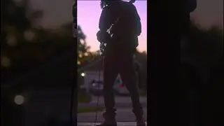 Without You