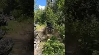 Летний выезд #brp #грязь #offroad #cfmoto #stels