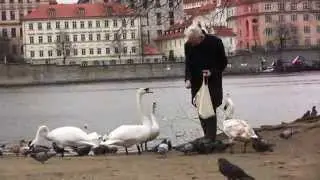 прага Praha