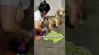 Dog Protecting Her Little Puppy😊💖