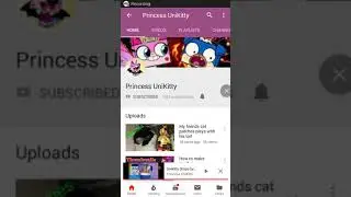 Shout out to Princess UniKitty