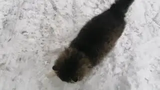 Чистка снега на мотоблоке с самодельный лопатой