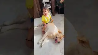 Muje Ghoda 🐎 Samaz rakha hai kya 😤 | SourShy
