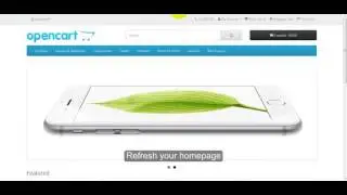 How to Install Expert Responsive Opencart Theme ?